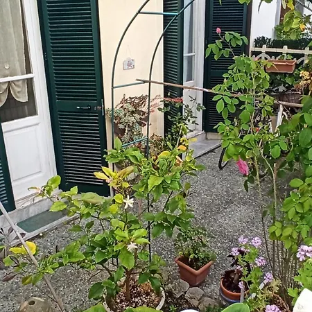 La Casa Tra Il Verde E Il Mare Viareggio Exterior foto