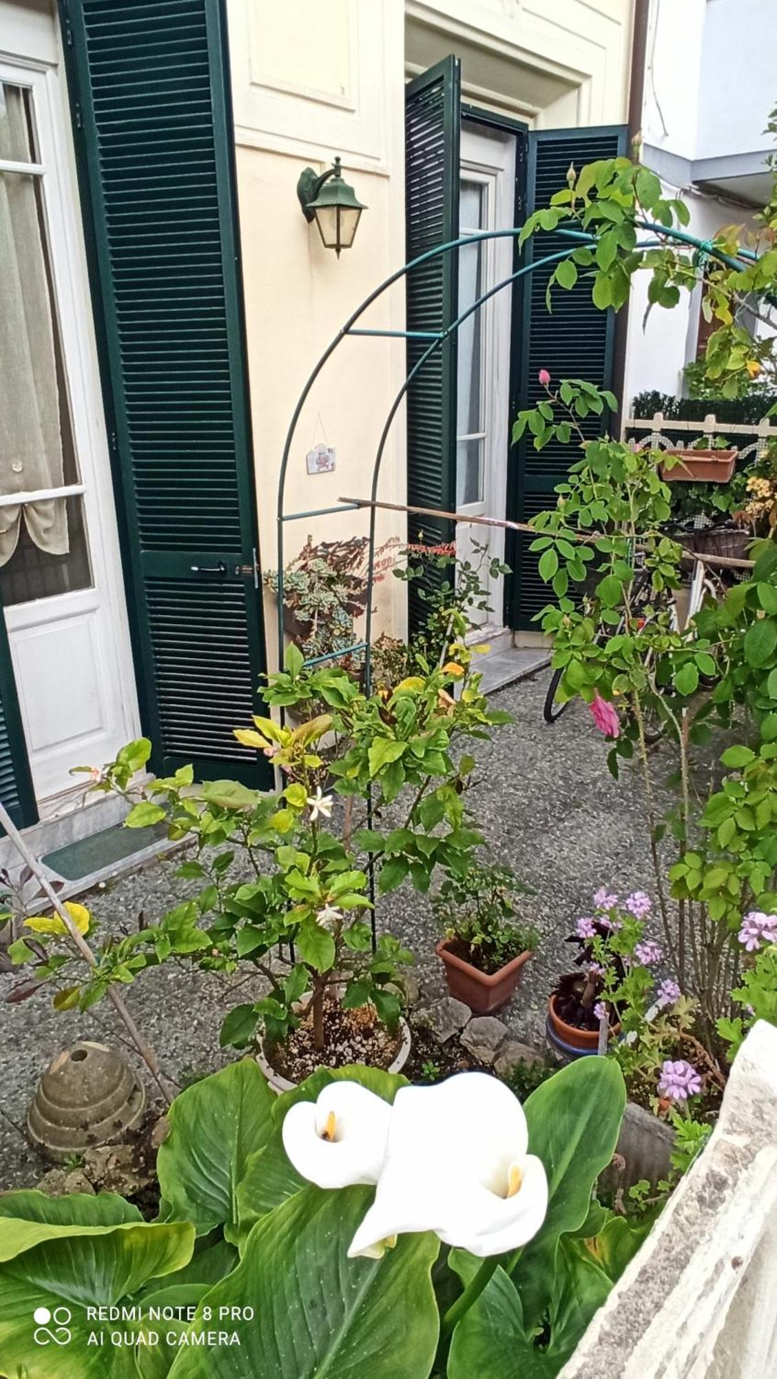 La Casa Tra Il E Il Mare * Viareggio